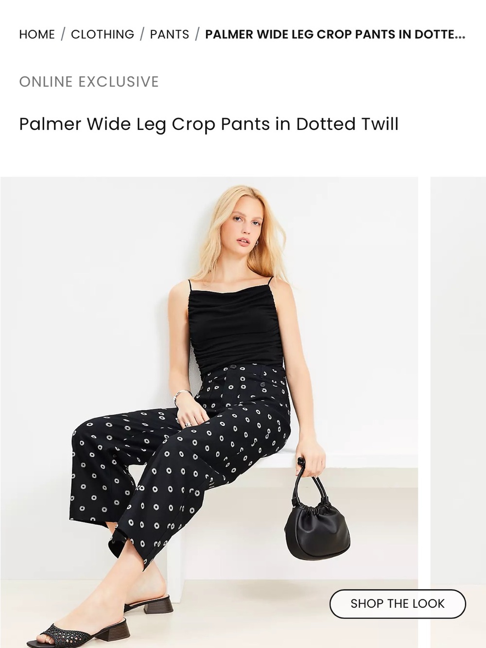NWT Wide Leg Crop Pants in Black Dotted Twill